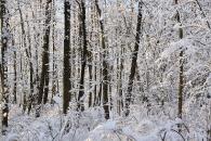 img_0134_kl