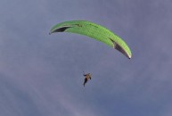 Paragliding - geil!