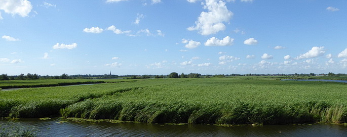 Naturschutzgebiet "Nieuwkoopse Plassen"