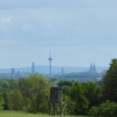 Schöner Blick auf Köln.