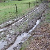 Hier sind wasserdichte Stiefel gefragt.